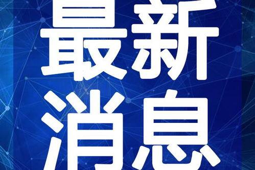 重庆王大姐爆料视频最新,揭秘城市生活背后不为人知的真相