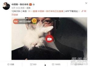 苏州情感爆料事件视频完整版