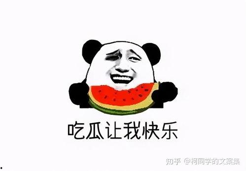 娱乐吃瓜文案搞笑,笑料百出，吃瓜群众笑翻天！  第3张
