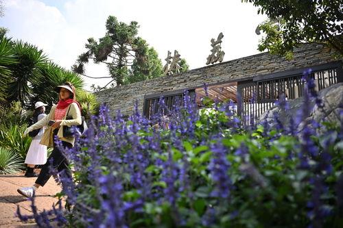 昆明植物园爆料视频大全,探秘植物王国奇观  第3张